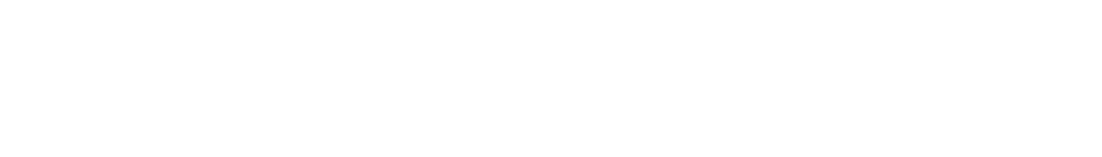 carVertical